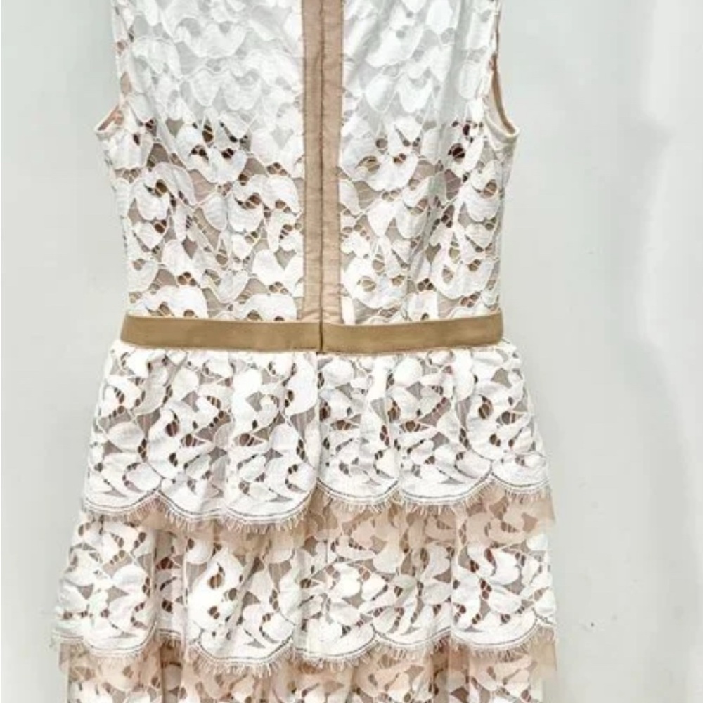 BCBG Max Azaria Sophea Two-Tone Lace Mini Dress - Picture 6 of 9